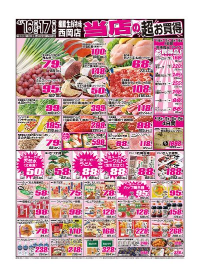 札幌市での産直生鮮市場のカタログ | 産直生鮮市場 チラシ | 2024/4/16 - 2024/4/30