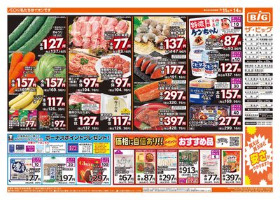 須賀川市でのスーパーマーケットのお得情報 | ザ・ビッグのザ・ビッグ チラシ | 2024/5/11 - 2024/5/14
