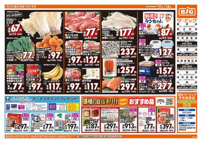 犬山市でのスーパーマーケットのお得情報 | ザ・ビッグのザ・ビッグ チラシ | 2024/5/11 - 2024/5/14