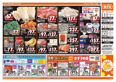 亀山市でのスーパーマーケットのお得情報 | ザ・ビッグのザ・ビッグ チラシ | 2024/5/11 - 2024/5/14