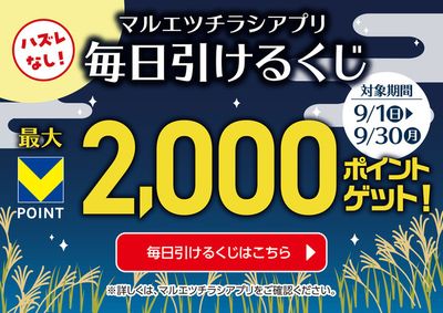 東京都港区でのリンコスのカタログ | 排他的な取引と掘り出し物 | 2024/8/31 - 2024/9/30