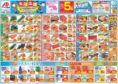 太田市でのクスリのアオキのカタログ | 排他的な掘り出し物 | 2024/10/16 - 2024/10/30