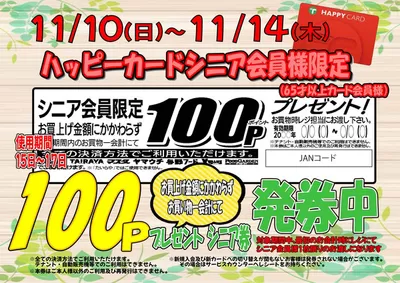 草加市でのたいらやのカタログ | 倹約家のためのトップオファー | 2024/11/10 - 2024/11/24