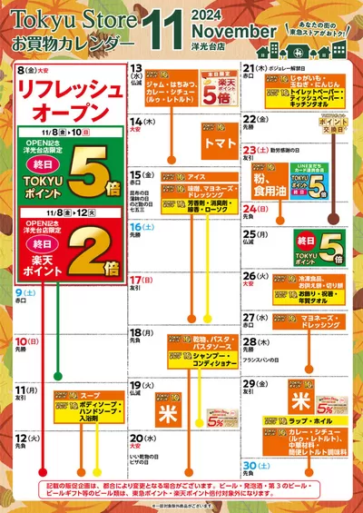 藤沢市での東急ストアのカタログ | すべてのお客様のための素晴らしいオファー | 2024/10/31 - 2024/11/30