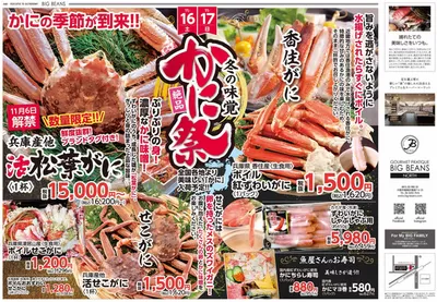 芦屋市でのビッグビーンズのカタログ | ノース店 | 2024/11/13 - 2024/11/27