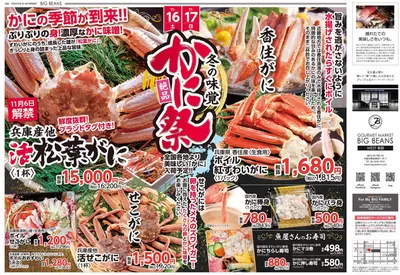 大阪市でのビッグビーンズのカタログ | ウェスト本店 | 2024/11/13 - 2024/11/27