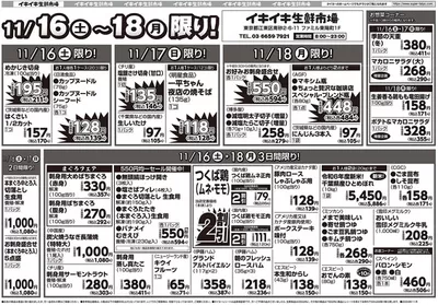 八千代市でのタイヨーのカタログ | 排他的な掘り出し物 | 2024/11/16 - 2024/11/30