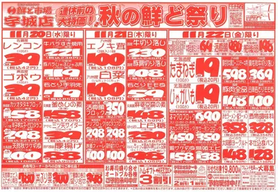 熊本市での鮮ど市場のカタログ | 倹約家のためのトップオファー | 2024/11/20 - 2024/11/22