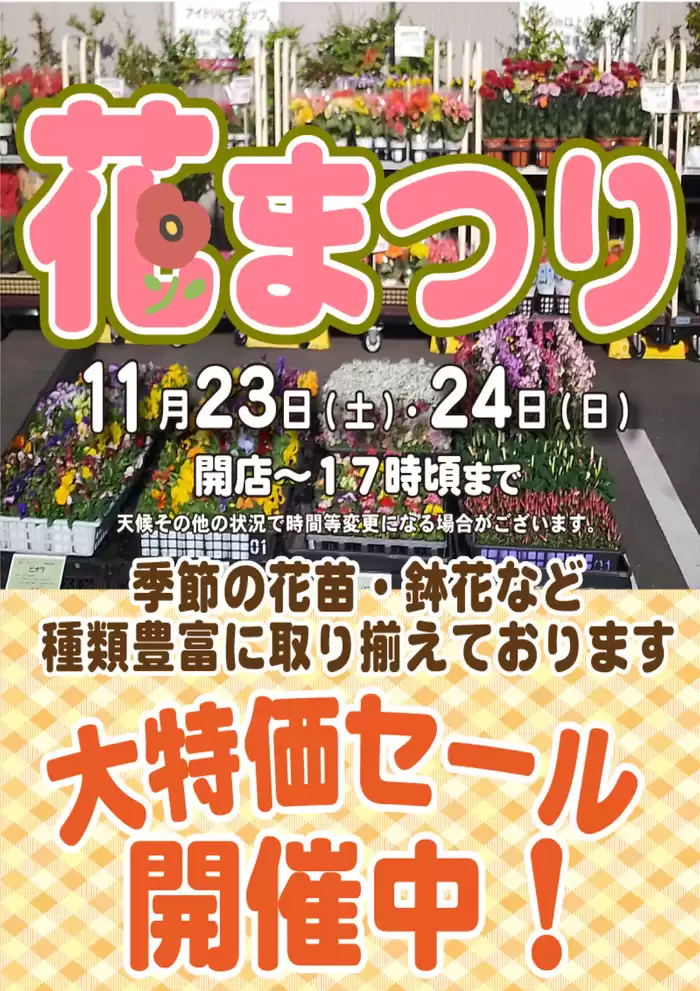 藤沢市でのスーパー三和のカタログ | すべてのお客様のための素晴らしいオファー | 2024/11/20 - 2024/11/24