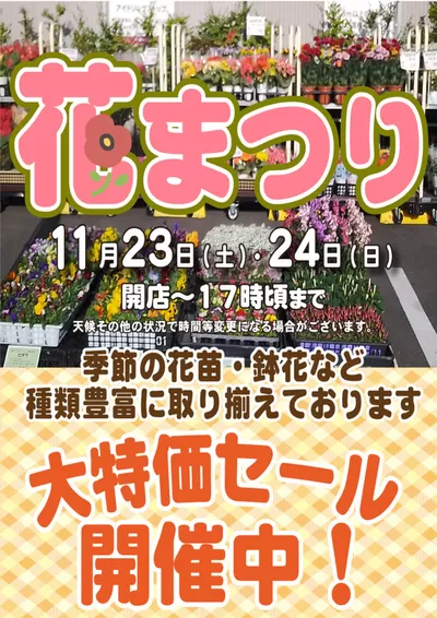 横浜市でのスーパー三和のカタログ | すべてのお客様のための素晴らしいオファー | 2024/11/20 - 2024/11/24