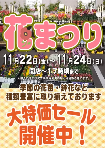 横浜市でのスーパー三和のカタログ | 発見するための新しいオファー | 2024/11/20 - 2024/11/24