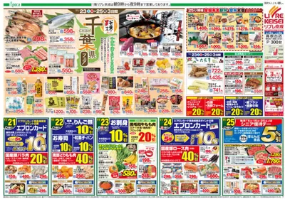 習志野市でのリブレ京成のカタログ | 高根台店 チラシ | 2024/11/21 - 2024/12/5