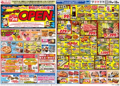 流山市でのベイシアのカタログ | 11/22折込 ベイシアフーズパーク野田さくらの里店リニューアルOPEN | 2024/11/22 - 2024/11/26