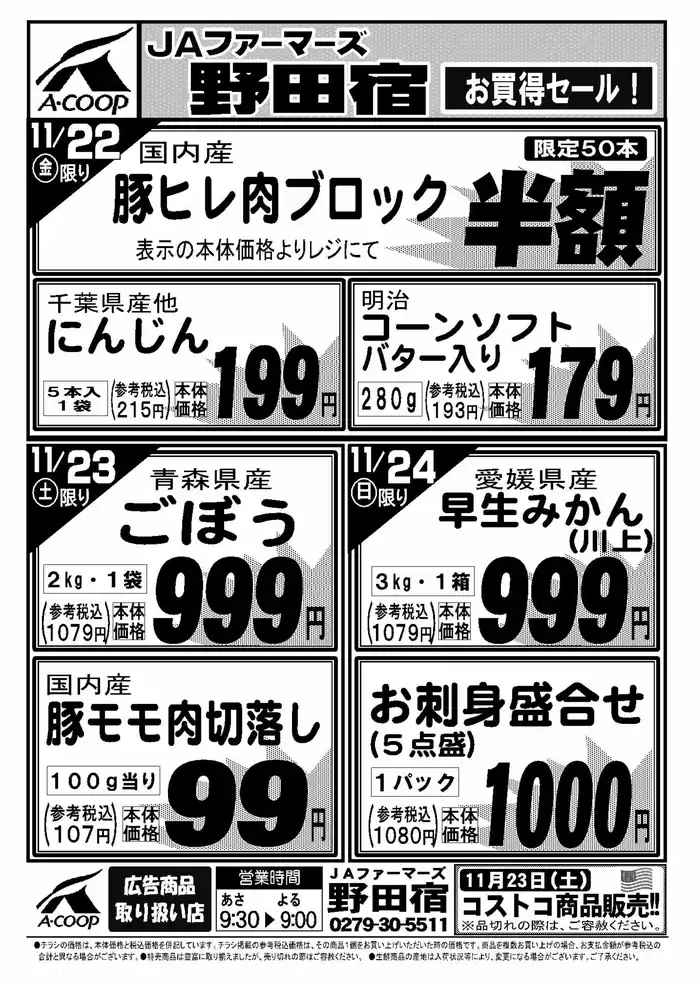 北群馬郡でのエーコープ関東のカタログ | 排他的な掘り出し物 | 2024/11/22 - 2024/11/24