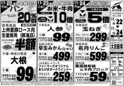 さいたま市でのAコープ東北のカタログ | すべてのお客様のための素晴らしいオファー | 2024/11/22 - 2024/11/24