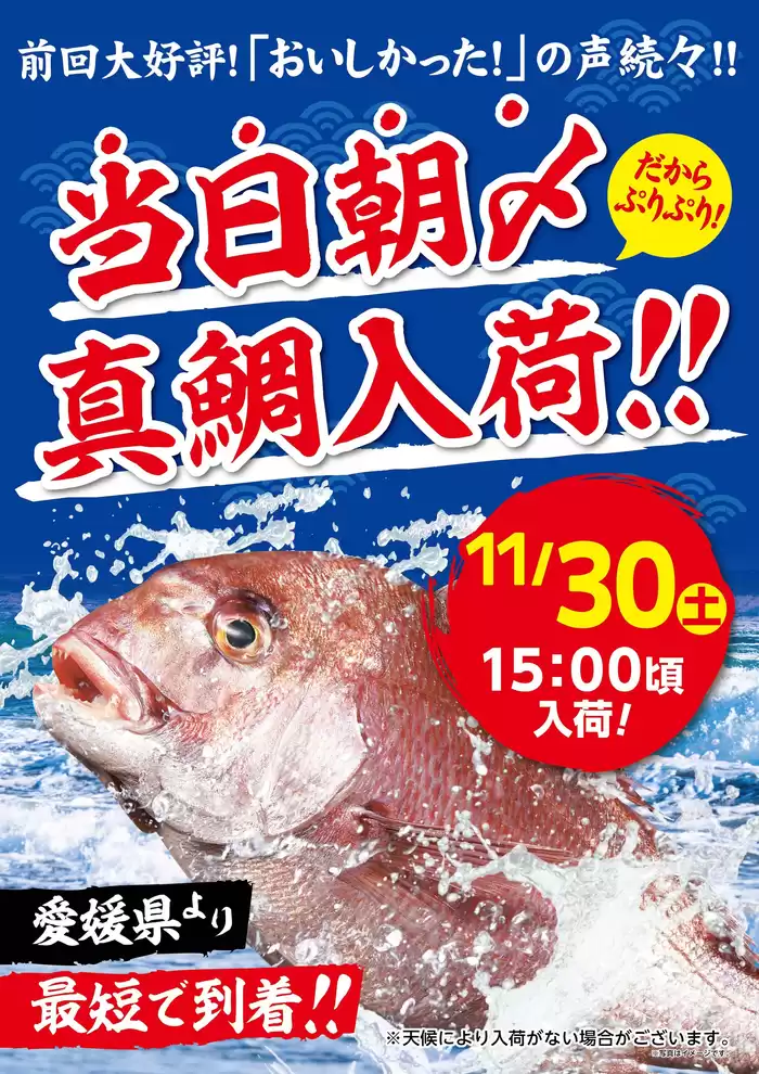 足立区でのマミーマートのカタログ | 掘り出し物ハンターのためのオファー | 2024/11/24 - 2024/11/30