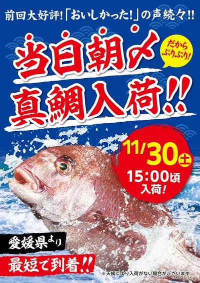 戸田市でのマミーマートのカタログ | 掘り出し物ハンターのためのオファー | 2024/11/24 - 2024/11/30