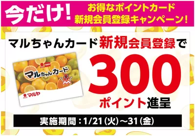 東京都でのマルヤのカタログ | 掘り出し物ハンターのためのオファー | 2025/1/20 - 2025/1/31