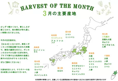 横浜市でのレストランのお得情報 | シズラーのシズラー チラシ | 2025/3/6 - 2025/4/5