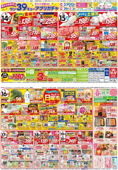 サンエーのカタログ | 掘り出し物ハンターのためのオファー | 2025/3/13 - 2025/3/20