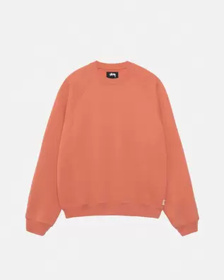 STUSSYにおける￥26400でのFLEECE RAGLAN CREWのオファー